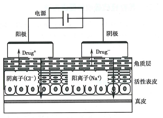 微信图片_2025-11-20_115138_533.png