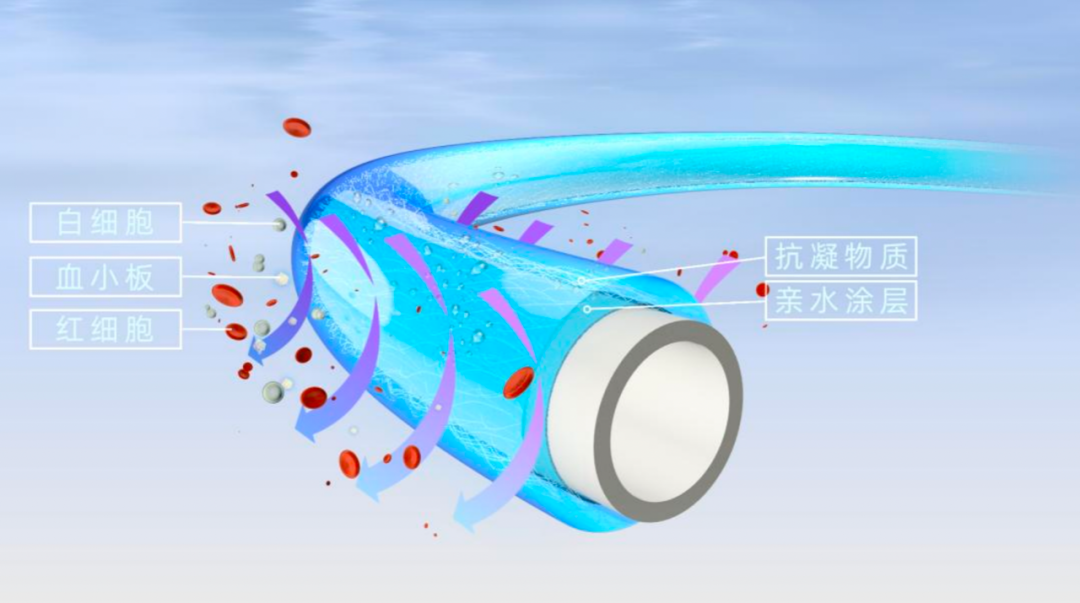 微信图片_2025-11-20_135543_280.png